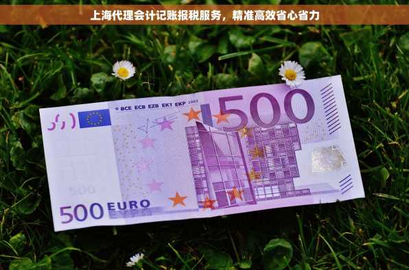 上海代理会计记账报税服务，精准高效省心省力