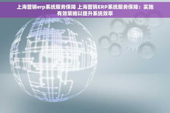 上海营销erp系统服务保障 上海营销ERP系统服务保障：实施有效策略以提升系统效率