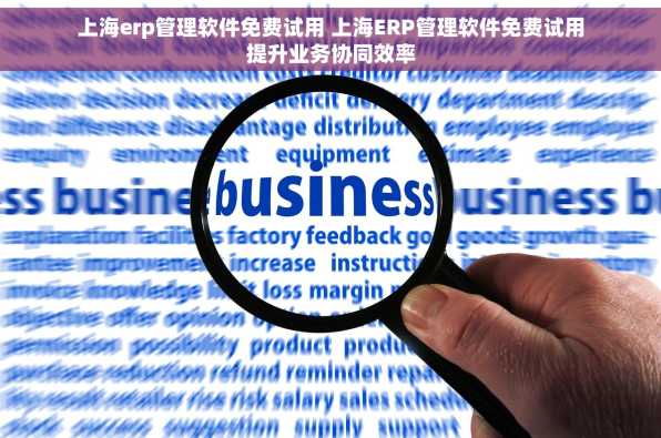 上海erp管理软件免费试用 上海ERP管理软件免费试用提升业务协同效率