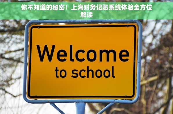 你不知道的秘密！上海财务记账系统体验全方位解读