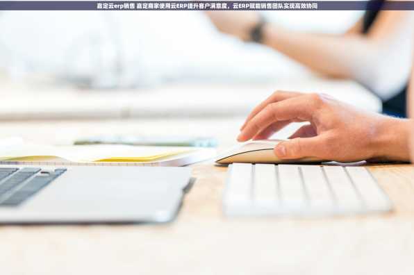 嘉定云erp销售 嘉定商家使用云ERP提升客户满意度，云ERP赋能销售团队实现高效协同