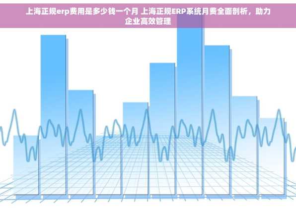 上海正规erp费用是多少钱一个月 上海正规ERP系统月费全面剖析，助力企业高效管理