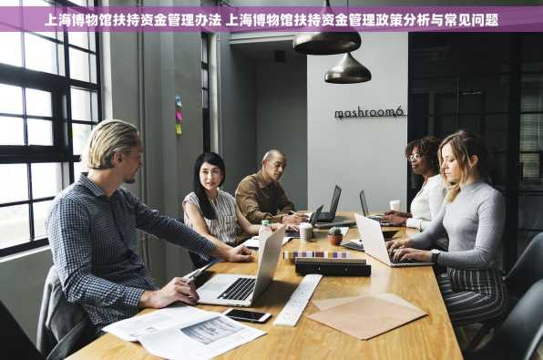 上海博物馆扶持资金管理办法 上海博物馆扶持资金管理政策分析与常见问题
