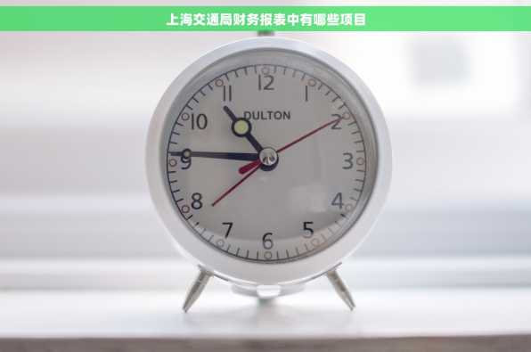 上海交通局财务报表中有哪些项目