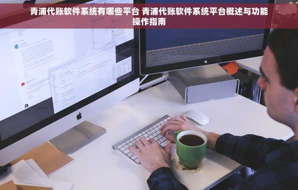 青浦代账软件系统有哪些平台 青浦代账软件系统平台概述与功能操作指南