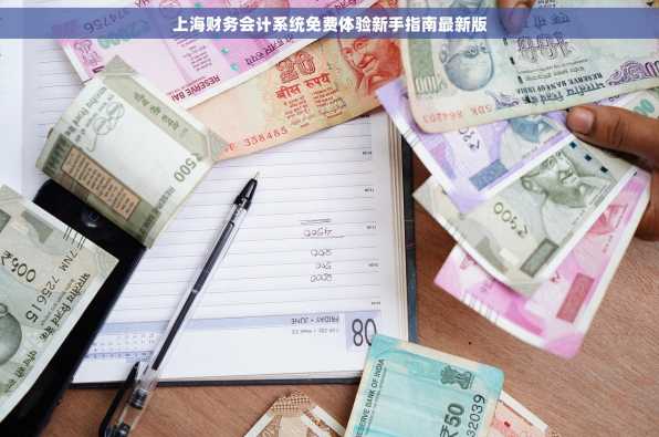 上海财务会计系统免费体验新手指南最新版