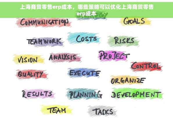 上海商贸零售erp成本，哪些策略可以优化上海商贸零售erp成本