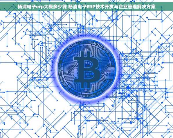 杨浦电子erp大概多少钱 杨浦电子ERP技术开发与企业管理解决方案