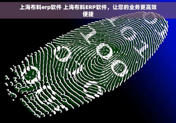 上海布料erp软件 上海布料ERP软件，让您的业务更高效便捷