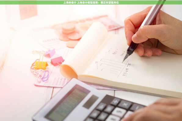 上海的会计 上海会计转型指南：骤迈向管理岗位