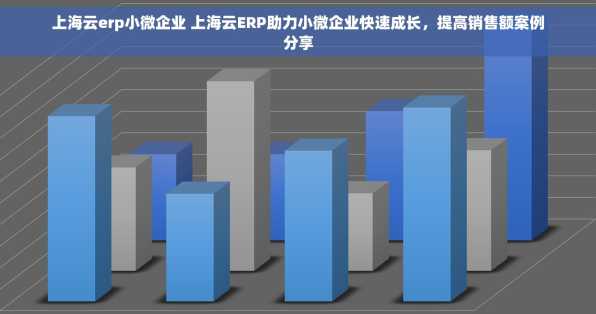 上海云erp小微企业 上海云ERP助力小微企业快速成长，提高销售额案例分享
