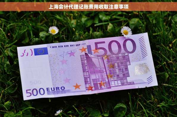 上海会计代理记账费用收取注意事项