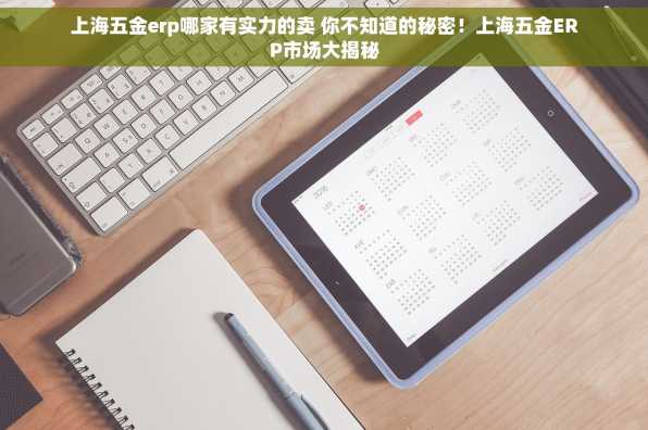 上海五金erp哪家有实力的卖 你不知道的秘密！上海五金ERP市场大揭秘