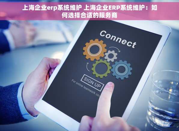 上海企业erp系统维护 上海企业ERP系统维护：如何选择合适的服务商