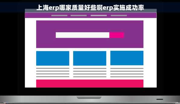 上海erp哪家质量好些啊erp实施成功率