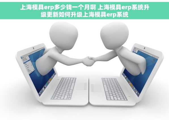 上海模具erp多少钱一个月啊 上海模具erp系统升级更新如何升级上海模具erp系统
