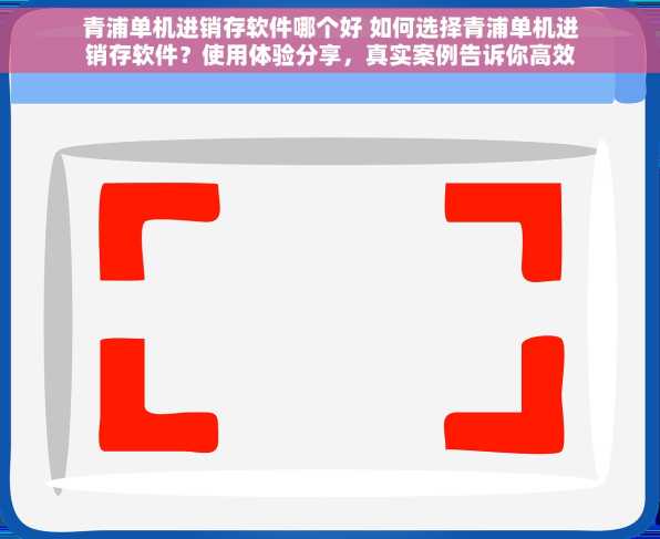 青浦单机进销存软件哪个好 如何选择青浦单机进销存软件？使用体验分享，真实案例告诉你高效管理不是梦