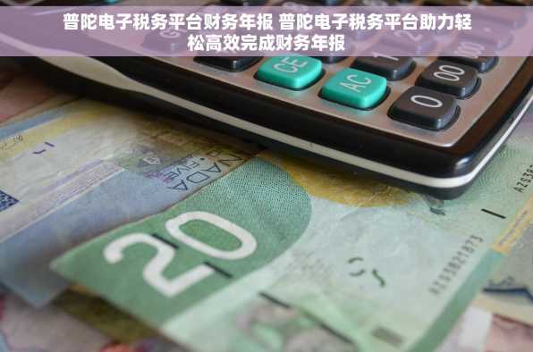 普陀电子税务平台财务年报 普陀电子税务平台助力轻松高效完成财务年报
