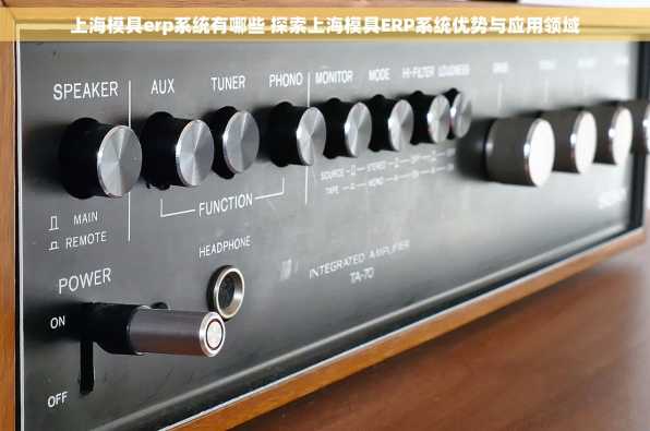 上海模具erp系统有哪些 探索上海模具ERP系统优势与应用领域