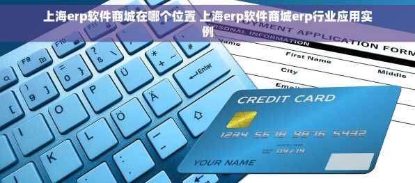 上海erp软件商城在哪个位置 上海erp软件商城erp行业应用实例