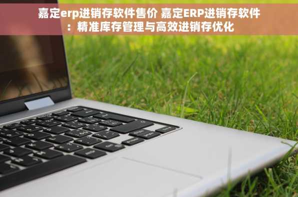 嘉定erp进销存软件售价 嘉定ERP进销存软件：精准库存管理与高效进销存优化