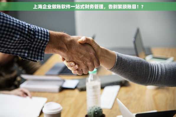 上海企业做账软件一站式财务管理，告别繁琐账目！?