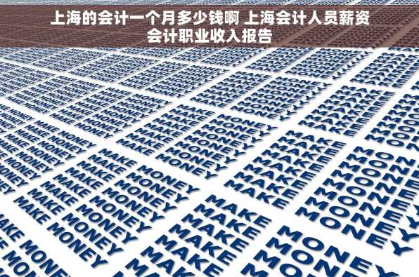 上海的会计一个月多少钱啊 上海会计人员薪资会计职业收入报告
