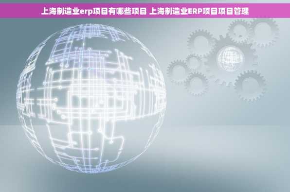 上海制造业erp项目有哪些项目 上海制造业ERP项目项目管理
