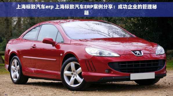 上海标致汽车erp 上海标致汽车ERP案例分享：成功企业的管理秘籍
