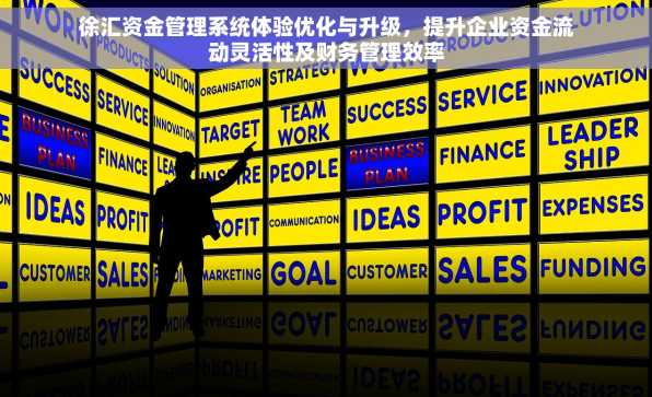 徐汇资金管理系统体验优化与升级，提升企业资金流动灵活性及财务管理效率