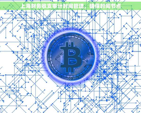 上海财务收支审计时间管理，确保时间节点