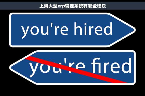 上海大型erp管理系统有哪些模块