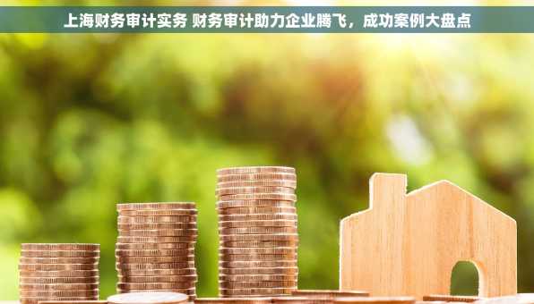 上海财务审计实务 财务审计助力企业腾飞，成功案例大盘点