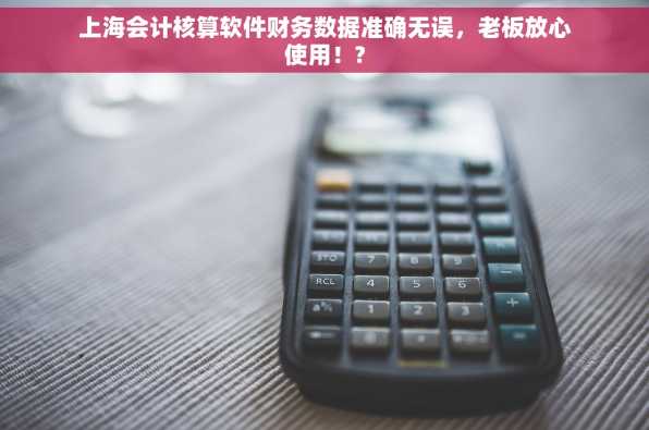 上海会计核算软件财务数据准确无误，老板放心使用！?