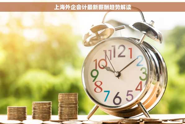 上海外企会计最新薪酬趋势解读