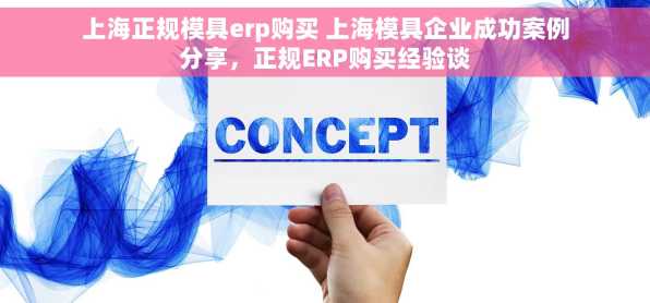 上海正规模具erp购买 上海模具企业成功案例分享，正规ERP购买经验谈