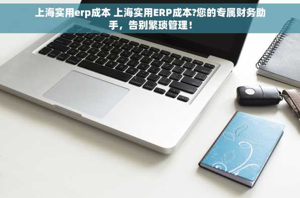 上海实用erp成本 上海实用ERP成本?您的专属财务助手，告别繁琐管理！