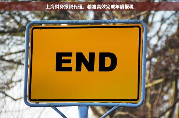 上海财务报税代理，精准高效完成年度报税