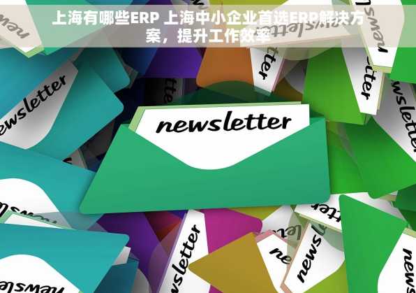 上海有哪些ERP 上海中小企业首选ERP解决方案，提升工作效率