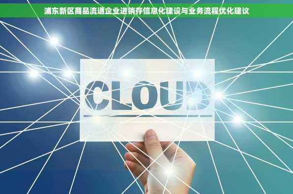 浦东新区商品流通企业进销存信息化建设与业务流程优化建议