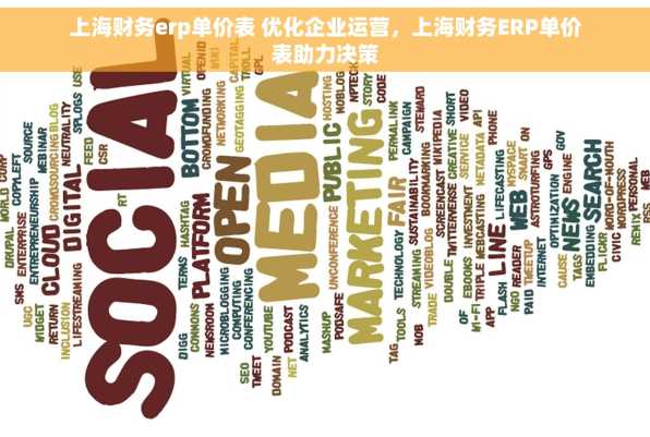 上海财务erp单价表 优化企业运营，上海财务ERP单价表助力决策