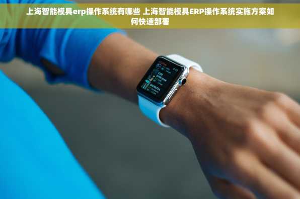 上海智能模具erp操作系统有哪些 上海智能模具ERP操作系统实施方案如何快速部署