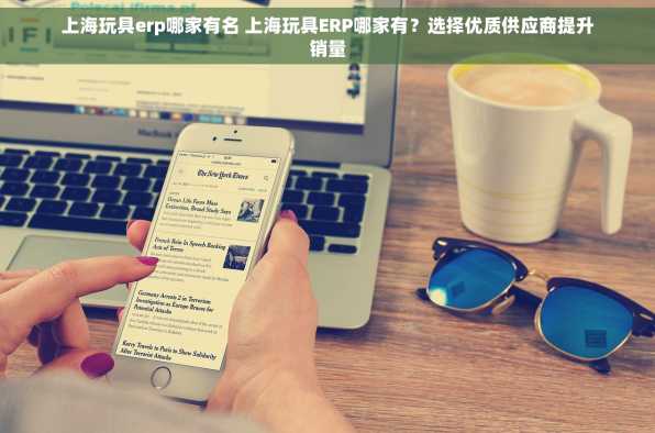 上海玩具erp哪家有名 上海玩具ERP哪家有？选择优质供应商提升销量