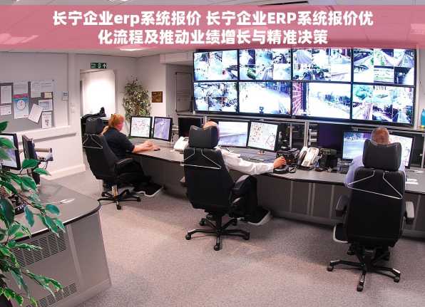 长宁企业erp系统报价 长宁企业ERP系统报价优化流程及推动业绩增长与精准决策