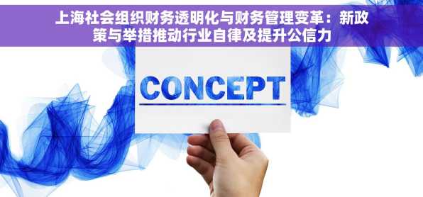 上海社会组织财务透明化与财务管理变革：新政策与举措推动行业自律及提升公信力