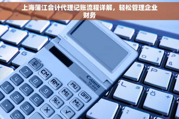 上海蒲江会计代理记账流程详解，轻松管理企业财务