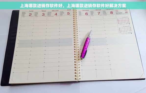 上海哪款进销存软件好，上海哪款进销存软件好解决方案
