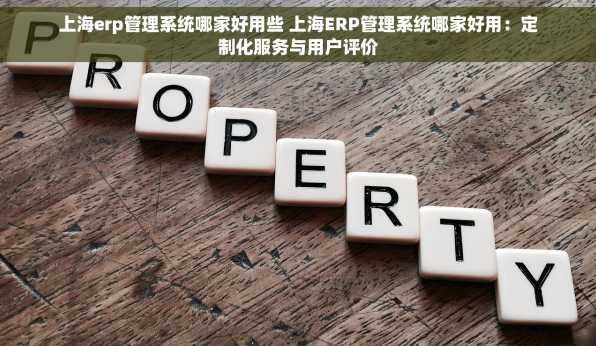 上海erp管理系统哪家好用些 上海ERP管理系统哪家好用：定制化服务与用户评价