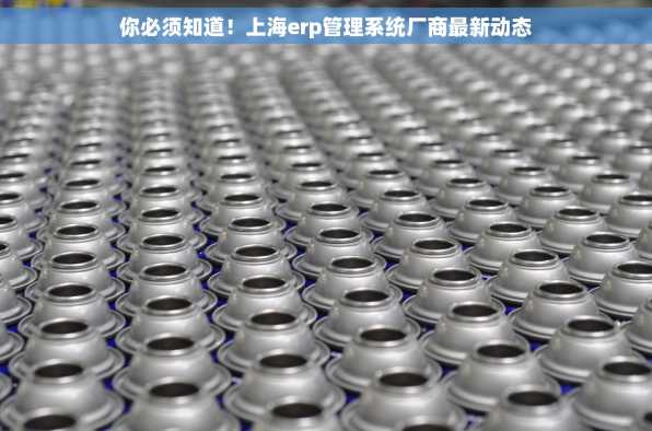 你必须知道！上海erp管理系统厂商最新动态