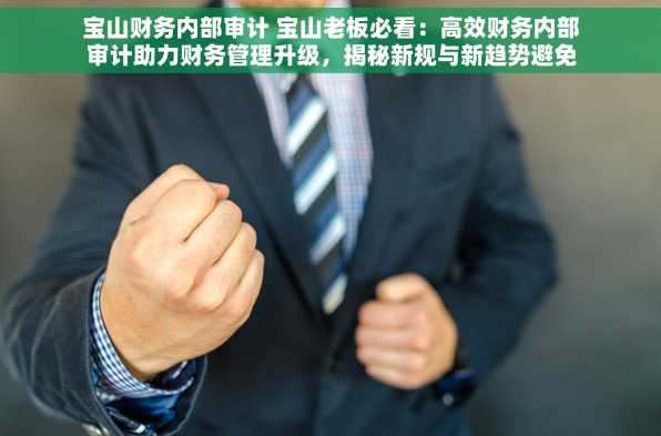 宝山财务内部审计 宝山老板必看：高效财务内部审计助力财务管理升级，揭秘新规与新趋势避免财务危机